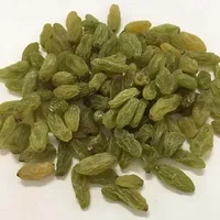 تصویر 4 از کشمش سبز درشت با بسته‌ بندی شکیل و اقتصادی